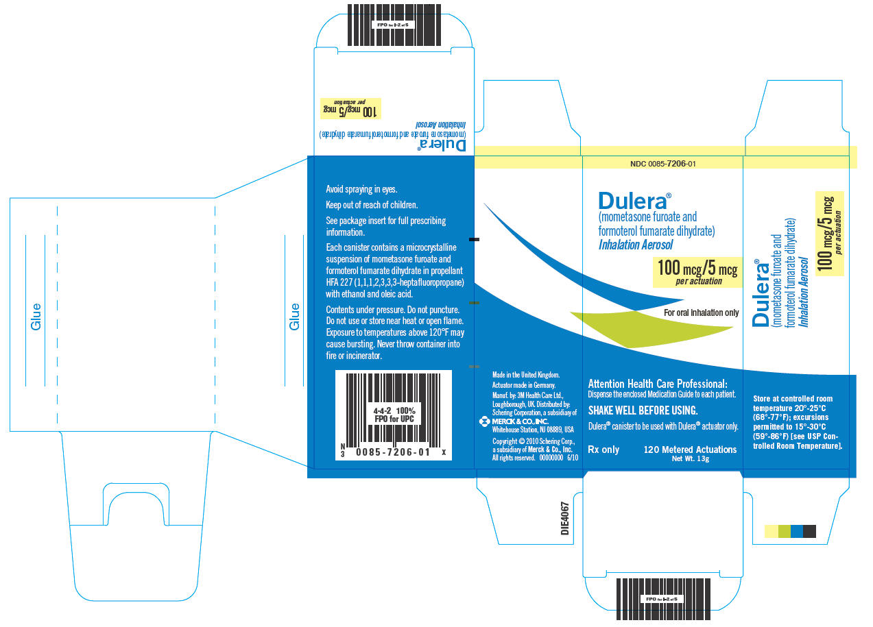 PRINCIPAL DISPLAY PANEL - 100 mcg Inhaler Carton