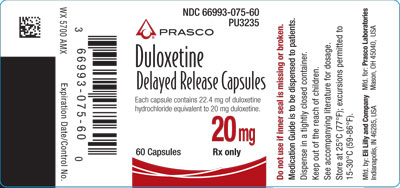 PACKAGE LABEL - Duloxetine Delayed Release Capsules 20 mg, bottle of 60
