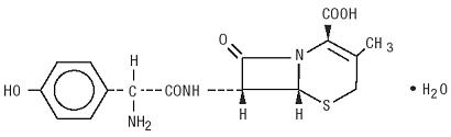 The following structural formula for DURICEF is a semisynthetic cephalosporin antibiotic intended for oral administration. It is a white to yellowish-white crystalline powder. It is soluble in water and it is acid-stable. It is chemically designated as 5-Thia-1-azabicyclo[4.2.0]oct-2-ene-2-carboxylic acid, 7-[[amino(4- hydroxyphenyl)acetyl]amino]-3-methyl-8-oxo-, monohydrate[6R-[6α,7β(R*)]]-. 