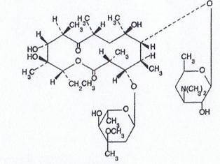 Ilotycin Structural Formula