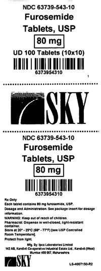 Furosemide 80mg Label