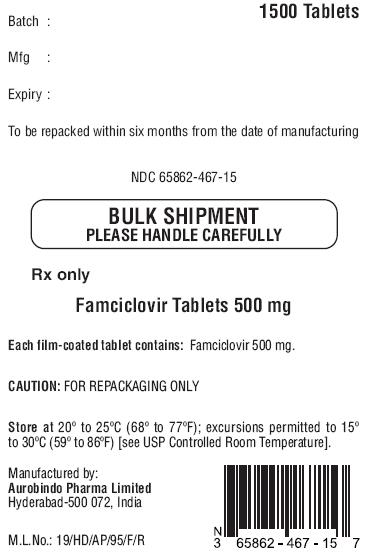 PACKAGE LABEL-PRINCIPAL DISPLAY PANEL - 500 mg Bulk Tablet Label