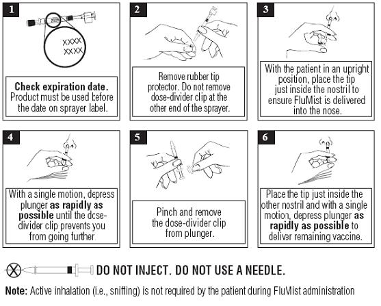 1. Check exiration date. Product must be used before the date on the sprayer label.
2. Remove rubber tip protector. Do not remove the dose-divider clip at the other end of the sprayer.
3. With the patient in an upright position, place the tip just inside the nostril to ensure FluMist is delivered into the nose.
4. With a single motion, depress plunger as rapidly as possible until the dose-divider clip prevents you from going further.
5. Pinch and remove the dose-divider clip from the plunger.
6. Place the tip just inside the other nostril and with a single motion, depress plunger as rapidly as possible to deliver remaining vaccine.
DO NOT INJECT. DO NOT USE A NEEDLE.
Note: Active inhalation (i.e., sniffing) is not required by the patient during FluMist administration