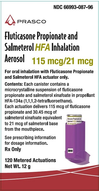 Fluticasone Propionate and Salmeterol HFA 115 mcg-21 mcg 120 dose carton