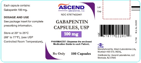 Gabapentin Capsules 100 mg - Container Label