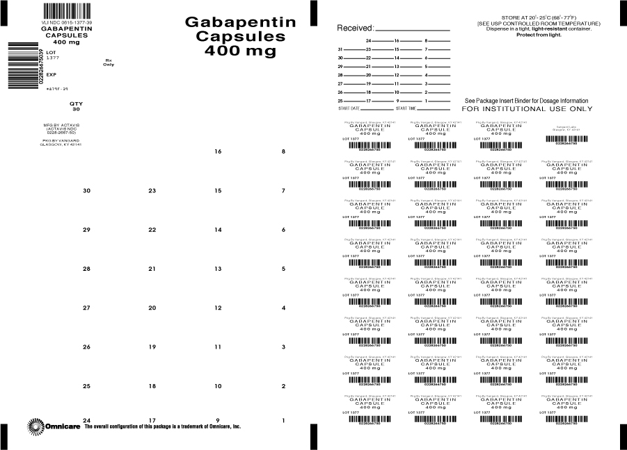 Principal Panel Display-Gabapentin 400mg