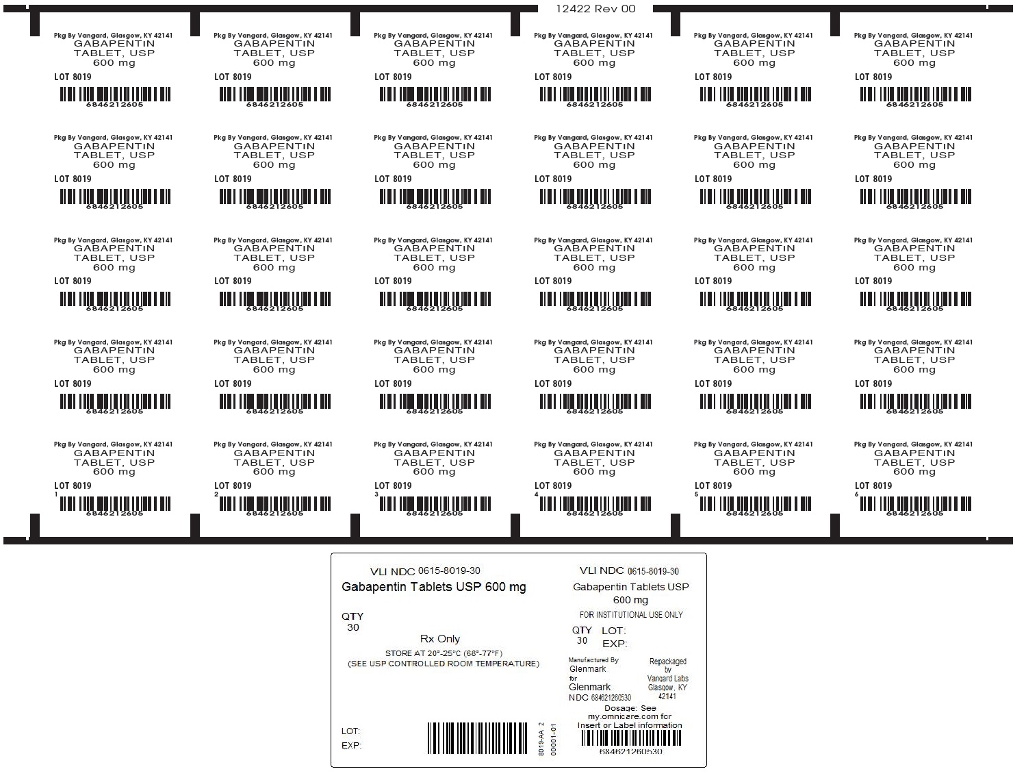 Gabapentin Tabs 600mg unit dose label