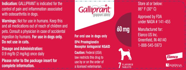 Principal Display Panel - Galliprant 60 mg 7 Tablets Bottle Label 