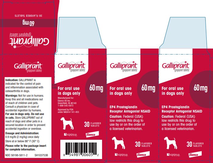 Principal Display Panel - Galliprant 60 mg 30 Tablets Carton Label 
