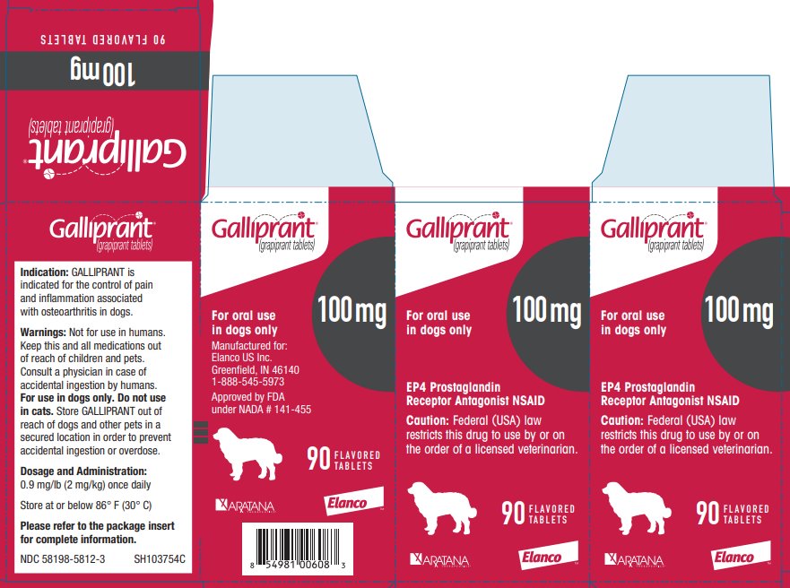 Principal Display Panel - Galliprant 100 mg 90 Tablets Carton Label 
