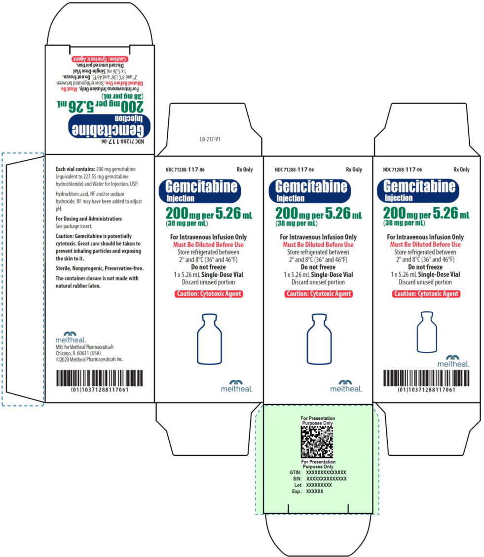 Principal Display Panel – Gemcitabine Injection 200 mg Carton
