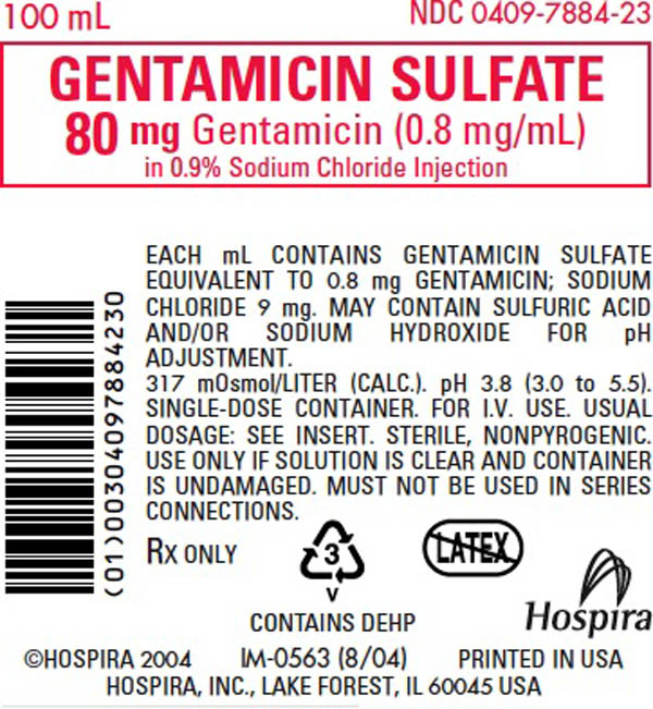 PRINCIPAL DISPLAY PANEL - 80 mg Bag Label - 100 mL