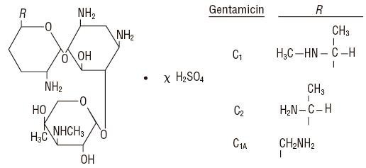 Gentamicin Image 1