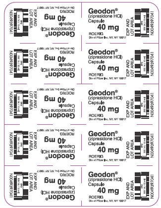 PRINCIPAL DISPLAY PANEL - 40 mg Blister Pack