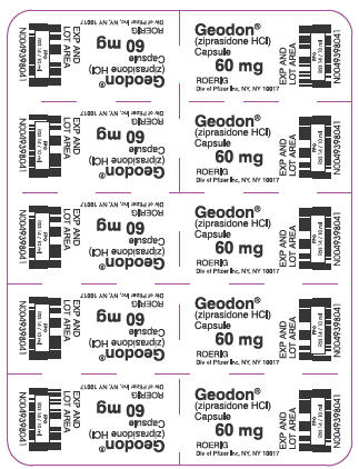 PRINCIPAL DISPLAY PANEL - 60 mg Blister Pack