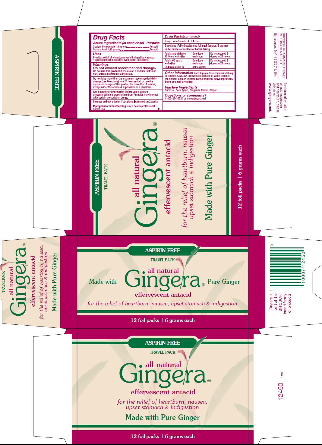 Gingera 12 pack