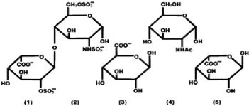Structural formula of Heparin Sodium
