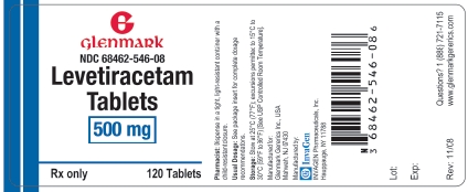 Levetiracetam 500mg Label