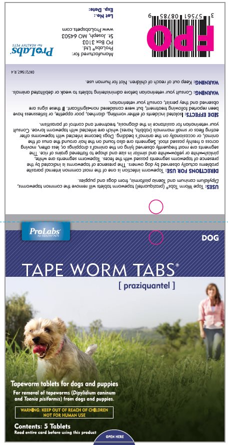 Tape Worm Tabs (praziquantel) for Dogs carton label