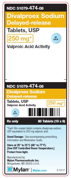 Divalproex Sodium Delayed-release 250 mg Tablets Unit Carton Label