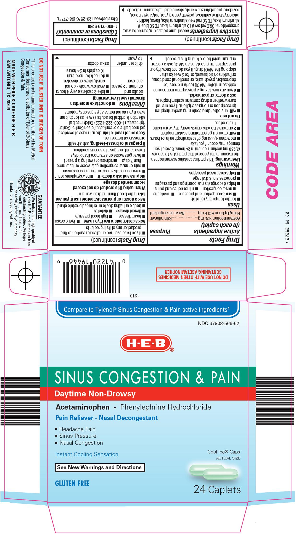 Nasal Congestion & Pain Carton Image
