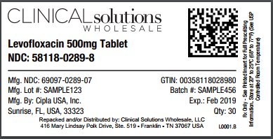 Levofloxacin 500mg tablet 30 count blistser card