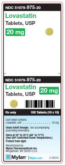 Lovastatin 20 mg Tablets Unit Carton Label