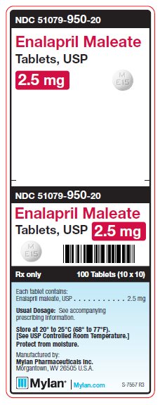 Enalapril Maleate 2.5 mg Tablets Unit Carton Label