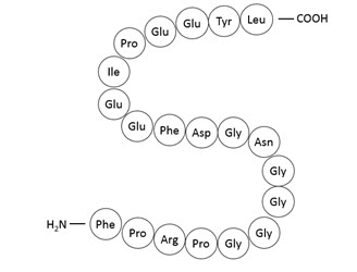 Structural Formula of Bivalirudin