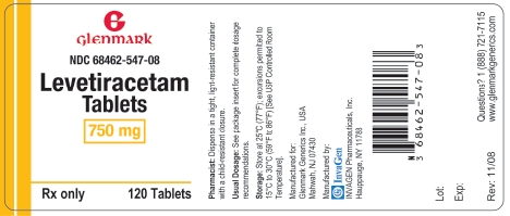 Levetiracetam 750mg Label