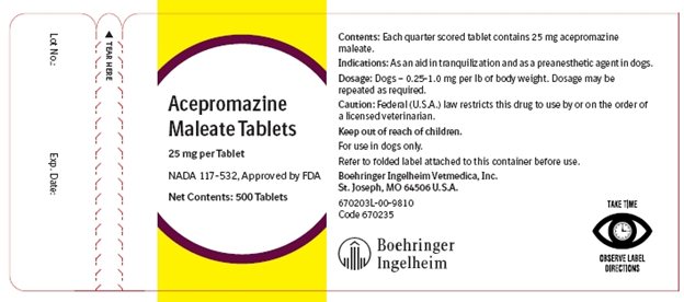 Picture of 25 mg Tablet Bottle Label.