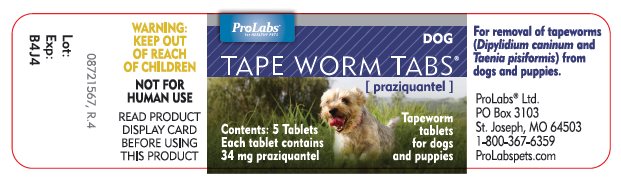 Tape Worm Tabs (praziquantel) for Dogs bottle label