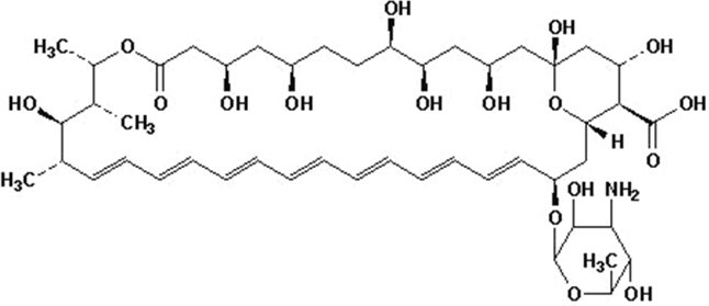 Molecular structure of amphotericin B 