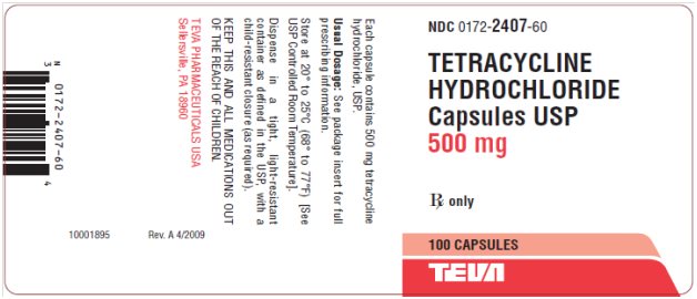 Tetracycline Hydrochloride Capsules USP 500 mg, 100s Label