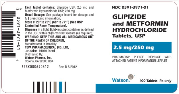 Glipizide and Metformin Hydrochloride Tablets USP 2.5 mg/250 mg, 100s Label