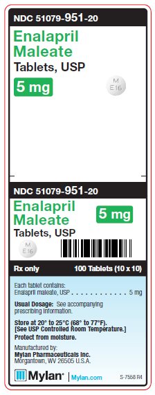 Enalapril Maleate 5 mg Tablets Unit Carton Label