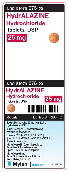 Hydralazine Hydrochloride 25 mg Tablets Unit Carton Label