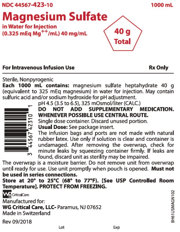 Magnesium Sulfate in WFI 40 g (40 mg/mL) bag image