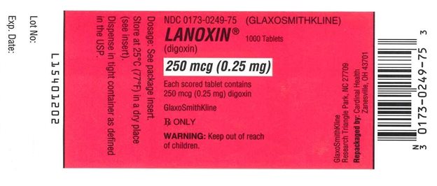 Lanoxin 250 mcg Label