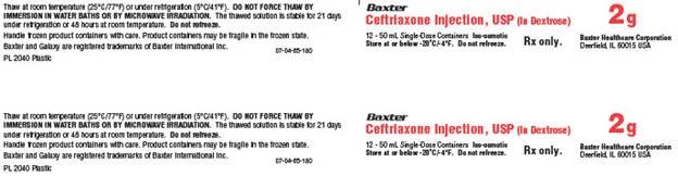 Ceftriaxone Representative Carton Label - 2 g - Panel 1 - NDC 0338-5003