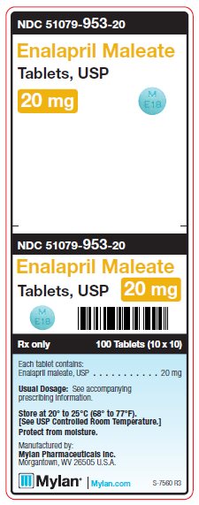 Enalapril Maleate 20 mg Tablets Unit Carton Label