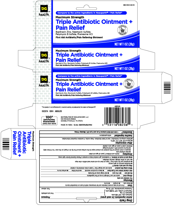 Triple Antibiotic Plus Pain Relief Ointment