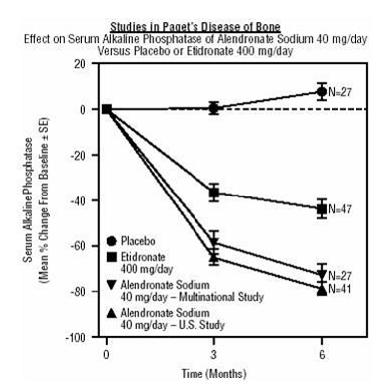 Studies in Paget's Disease of Bone Effect on Serum Alkaline Phosphatase of Alendronate Sodium 40 mg/day Versus Placebo or Etidronate 400 mg/day
