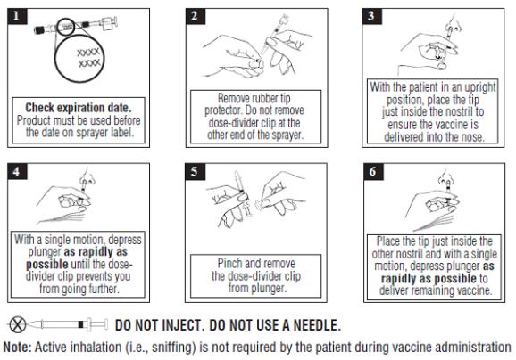 1. Check expiration date. Product must be used before the date on sprayer label.
2. Remove rubber tip protector. Do not remove dose-divider clip at the other end of the sprayer.
3. With the patient in an upright position, place the tip just inside the nostril to ensure the vaccine is delivered into the nose.
4. With a single motion, depress plunger as rapidly as possible until the dose-divider clip prevents you from going further.
5. Pinch and remove the dose-divider clip from plunger.
6. Place the tip just inside the other nostril and with a single motion, depress plunger as rapidly as possible to deliver remaining vaccine.
DO NOT INJECT. DO NOT USE A NEEDLE.
Note: Active inhalation (i.e., sniffing) is not required by the patient during vaccine administration