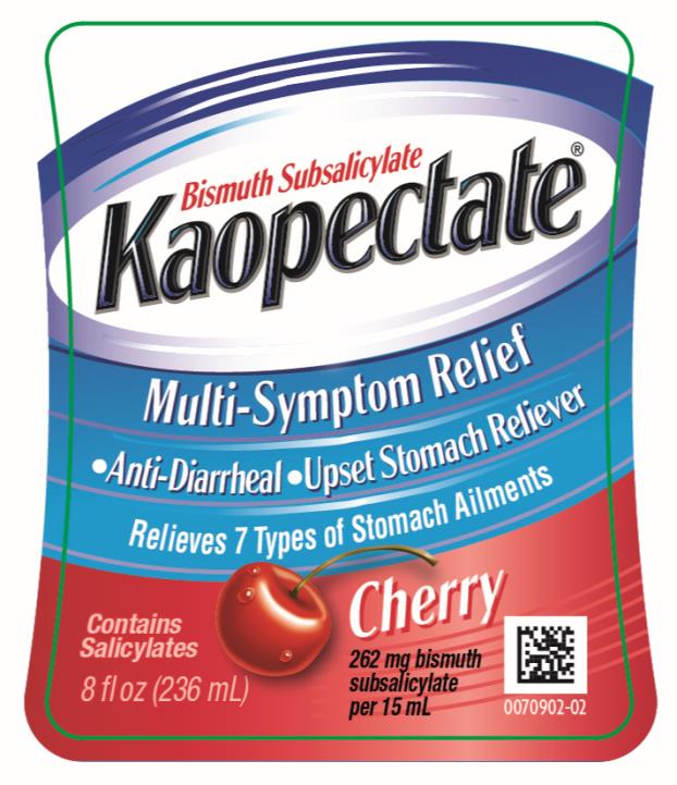 Principal Display Panel
NDC 41167-6050-2 
Bismuth Subsalicylate
Kaopectate® 
•	Anti-Diarrheal
•	Upset Stomach Reliever
Contains Salicylates
Cherry
262 mg bismuth subsalicylate per 15 mL
8 fl oz (236 mL)
0070902-02
