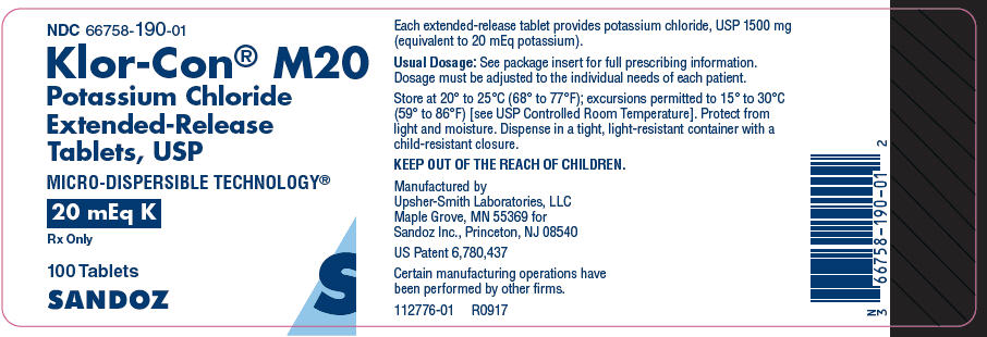 Principal Display Panel - 20 mEq K Tablet Bottle Label