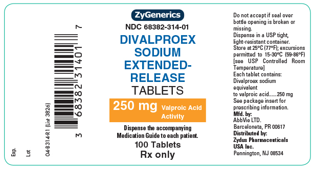 divalproex sodium exteneded-release tablets 350mg 100ct