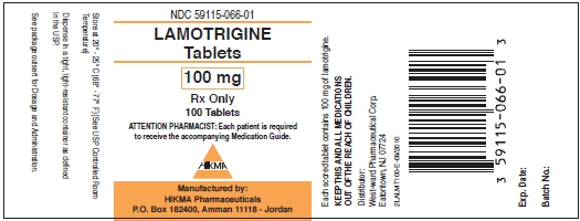 Lamotrigine Tablets 100 mg/100 Tablets