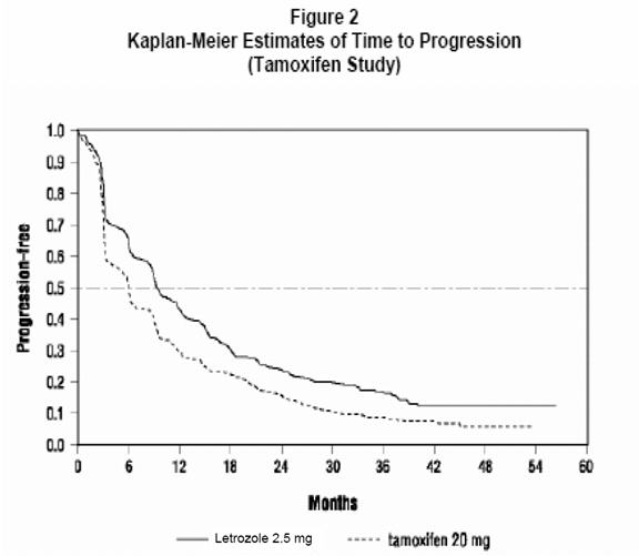 Figure 2 Kaplan-Meier Estimates of Time to Progression (Tamoxifen Study)