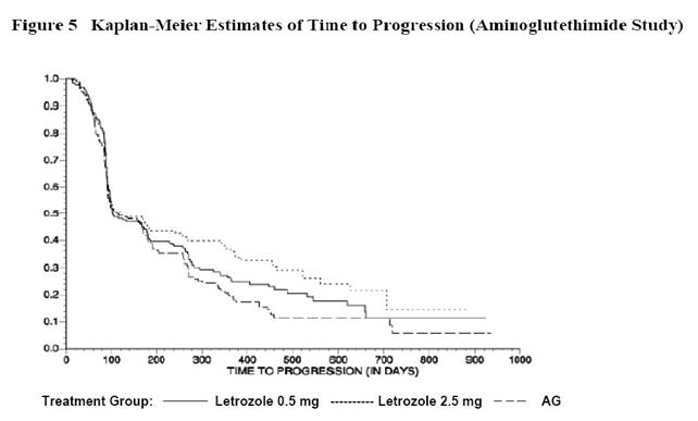 Figure 5 Kaplan-Meier Estimates of Time to Progression (Aminoglutethimide Study)